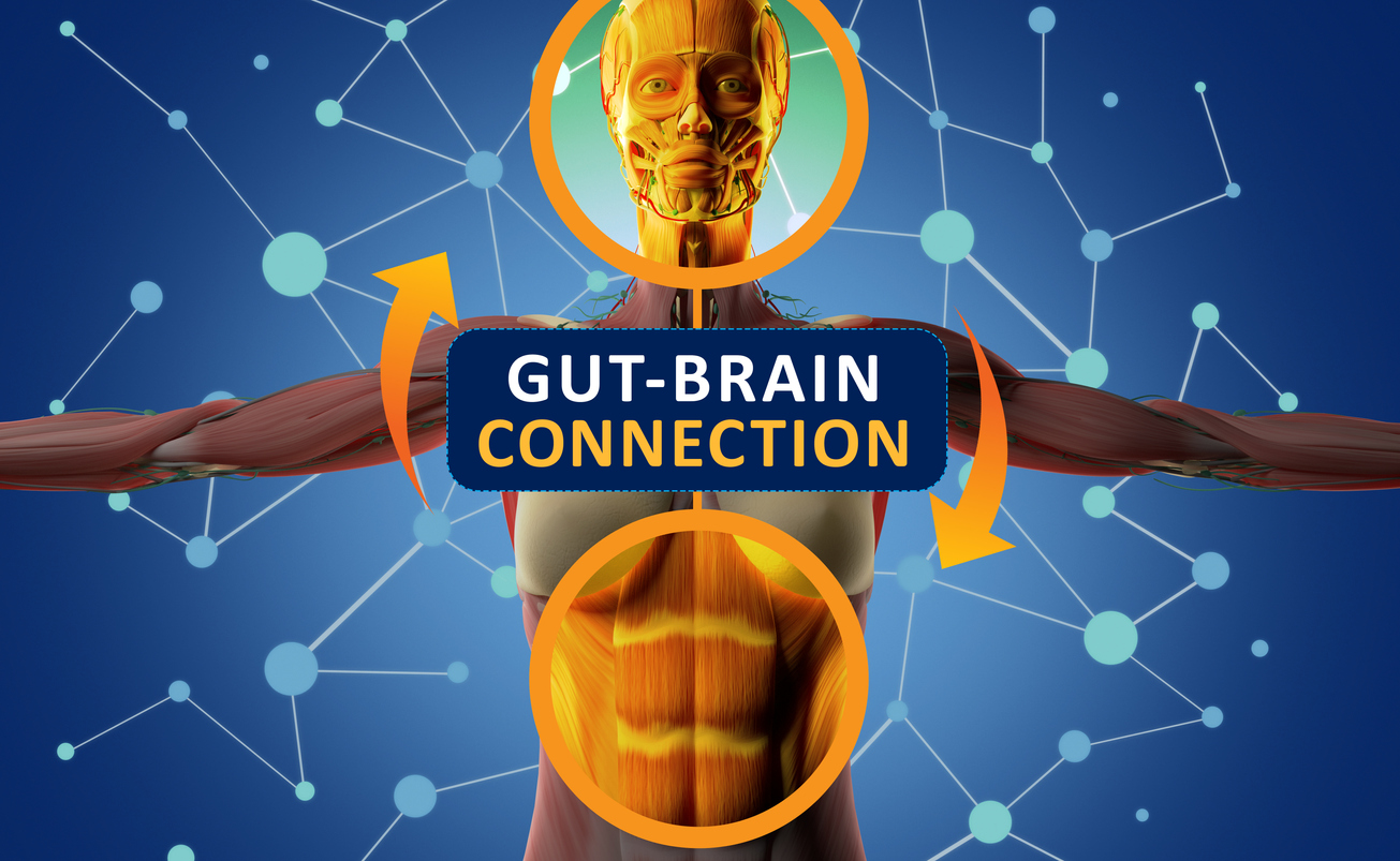Featured image for “The Gut-Brain Axis and its Role in Autoimmune Disorders”